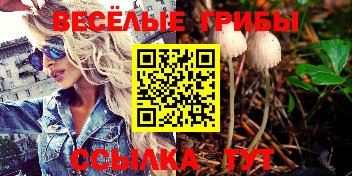Галлюциногенные грибы GOLDEN TEACHER Кимры